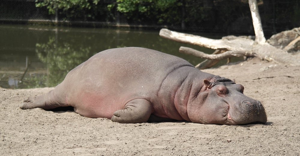 A person looks at the distant horizon from the top of a mountain. The feeling is calm and peaceful.